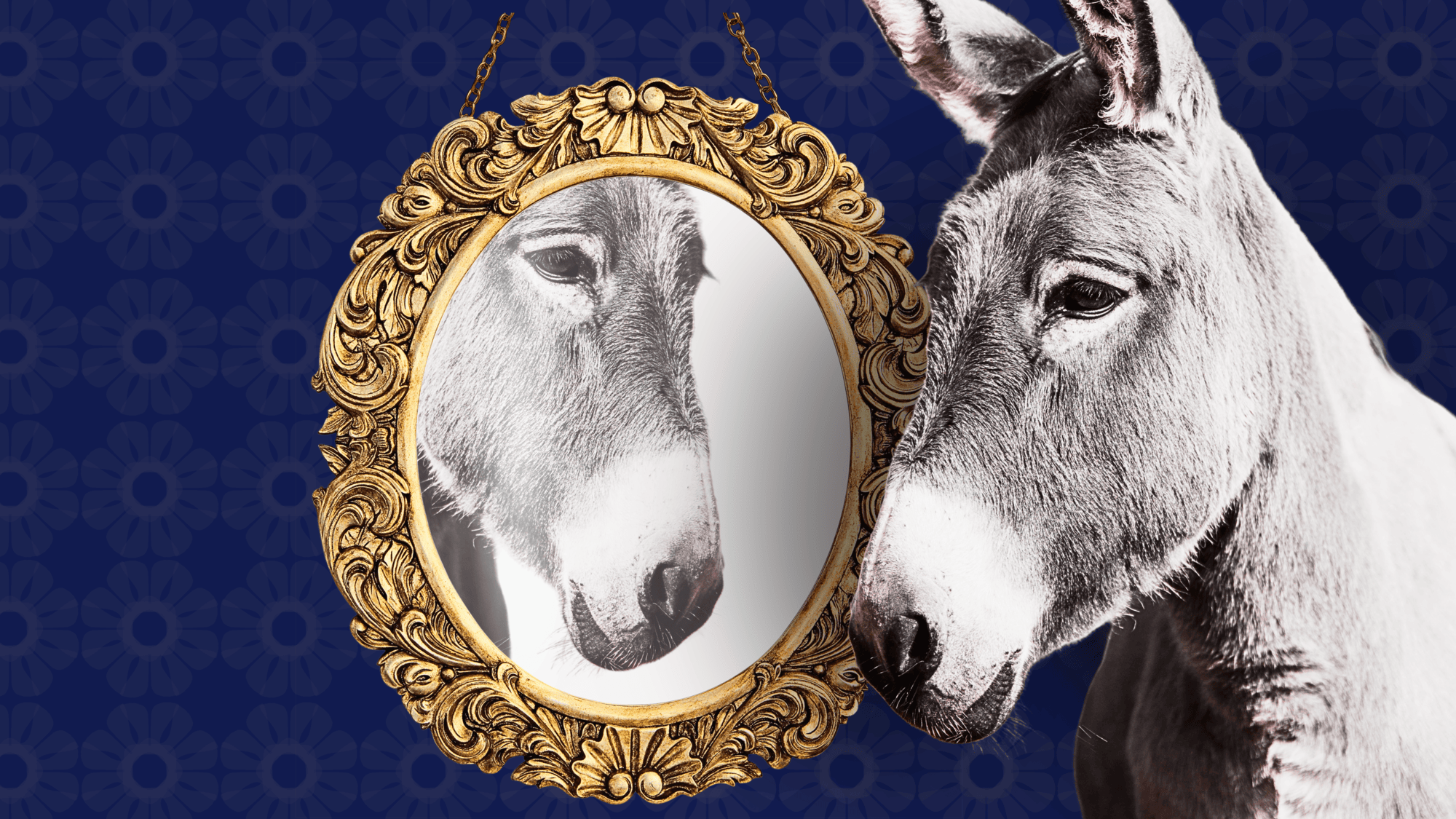 Maya Rupert: Let Democrats Be Democrats